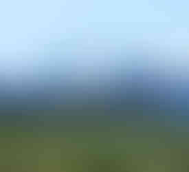 Laughing together on the Oxbow Loop Trail, Denali National Park