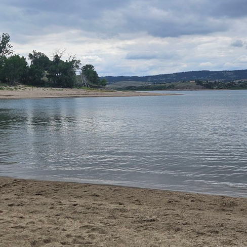 lake clear water surrounded by trees and grassland