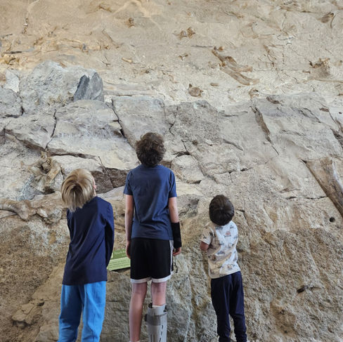 Dinosaur Monument, UT