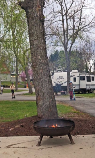 Firepit near a tall tree, with campers in the background