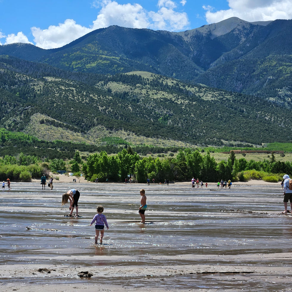 people walking through medano creek surrounded by green mountains and blue skies