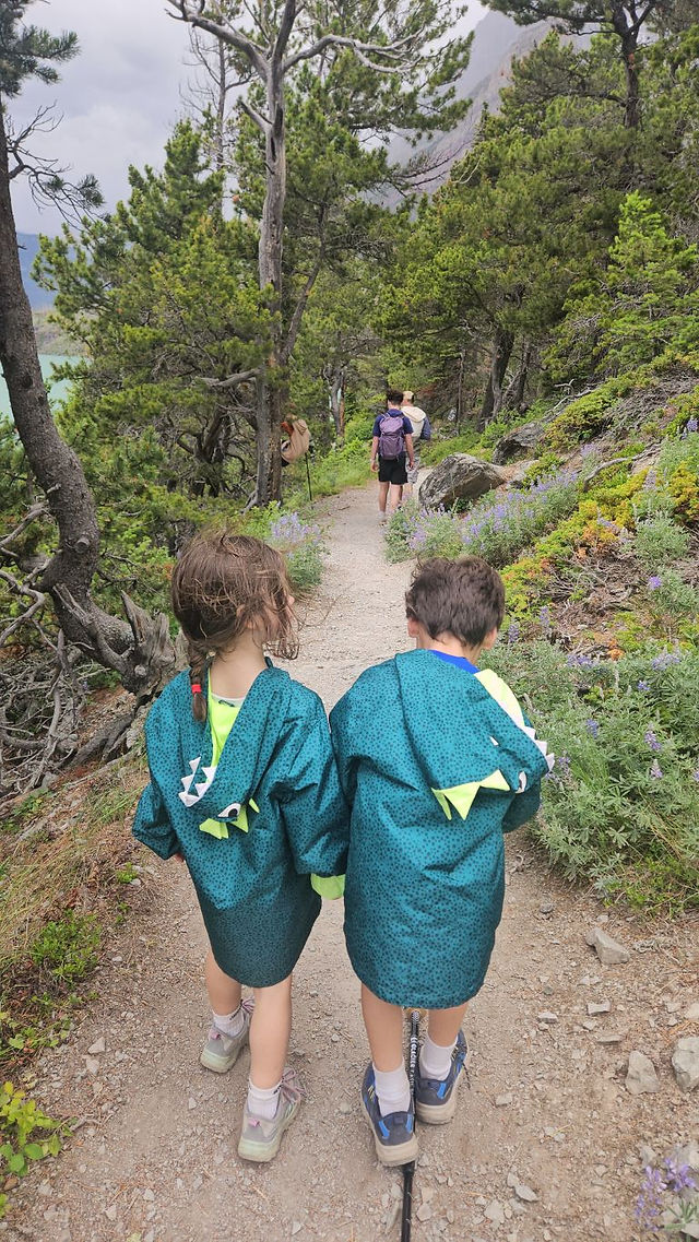 Kids hiking a family-friendly mountain trail through wildflowers and forest in Glacier National Park.