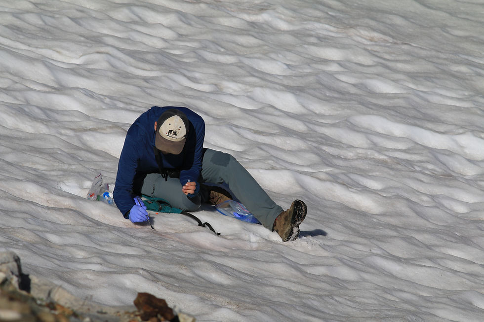 Ben Vernasco collecting a Wallowa Rosy-finch fecal sample. Photo credit: Jess Hernandez