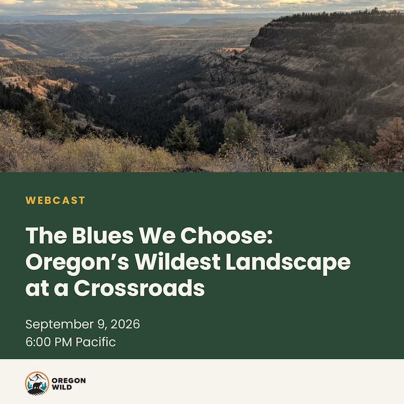 The Blues We Choose: Oregon's Wildest Landscape at a Crossroads