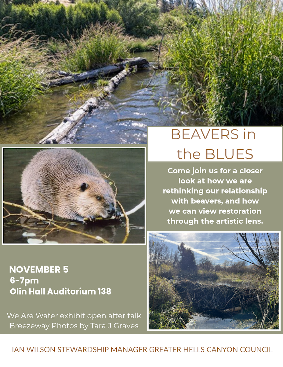 Beavers in the Blues