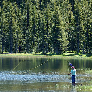 Flyfishing at Anthony Lakes, WWNForest F