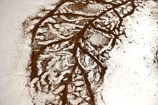 Dirt 31 Sharper_Smaller 2.jpg