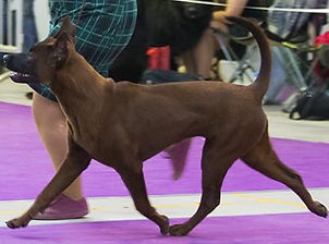 30743433_2083713661673927_39671693017056