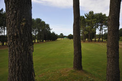 _AAC2382 (190).jpg