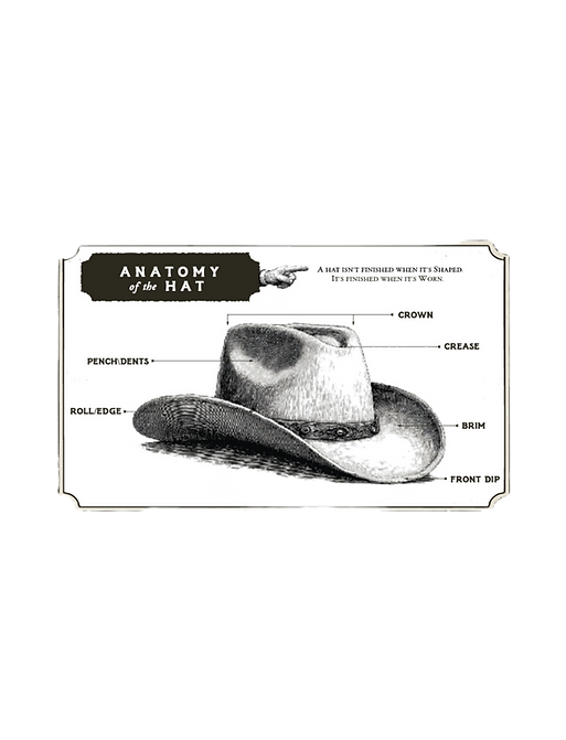Hat 01_edited.png