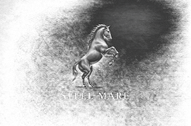 steel_mare_logo_transparent_v2.png