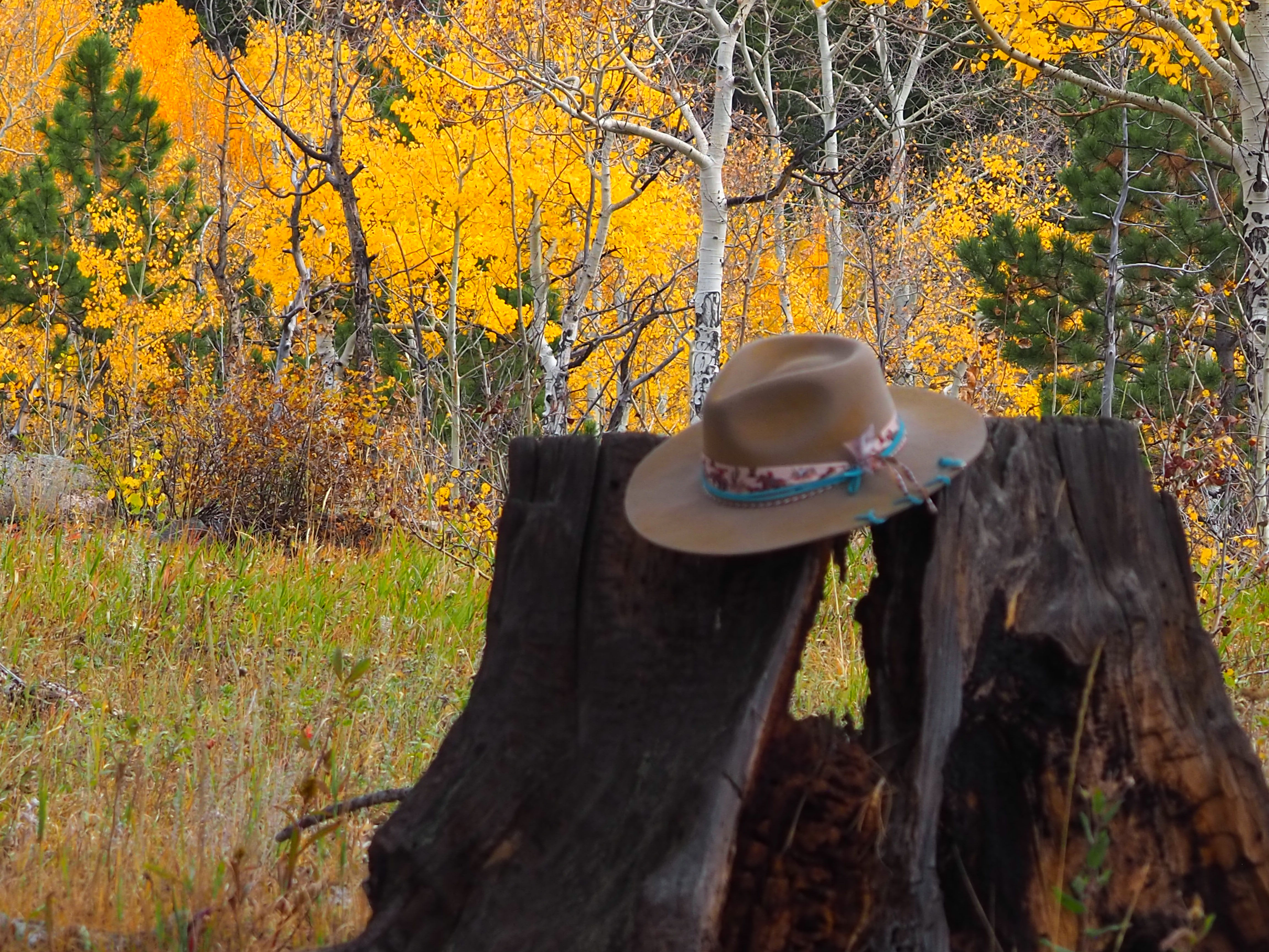The Aspen Trail