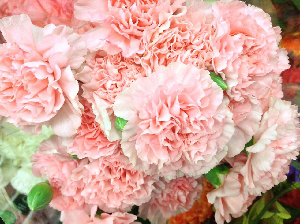 Thumbnail: Carnation Perfume: Fresh Flower Essential Oils, Spicy Floral Scent 2oz/60mL