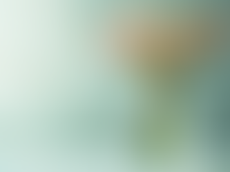 The Secret to Keeping Flowers Fresh Longer