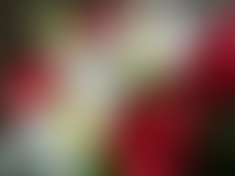 Romantic Valentine's Day Flowers for Every Love Story