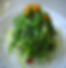 Seaweed Salad