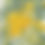 Thumbnail: 平野明子Cross Stitch Frame <Mimosa Wreath>