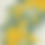 Thumbnail: 平野明子Cross Stitch Frame <Mimosa Wreath>