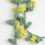 Thumbnail: Mimosa Accessories (Material Set)