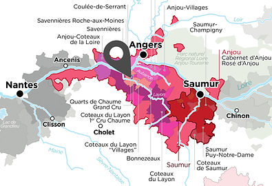 carte domaine des grandes vignes.jpg