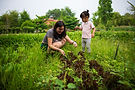A6706250.jpg
