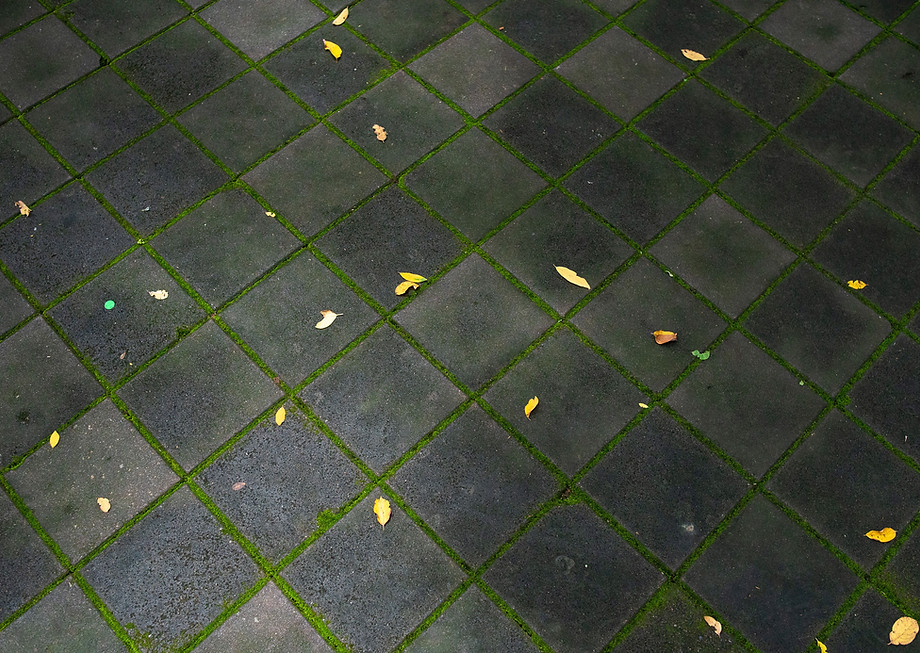 Copy of _A656925.jpg