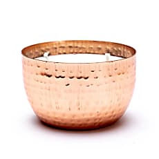Thumbnail: Pitta aqua oud