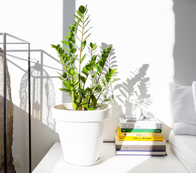 Maysix home staging photo de détail.jpg