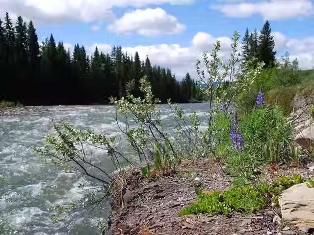 Photo: Travel Alberta