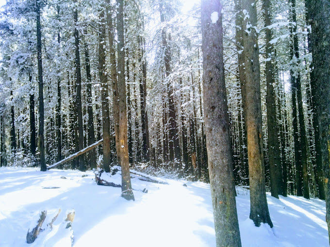 Photo via AllTrails