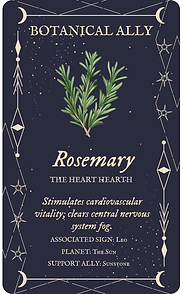 Rosemary.png