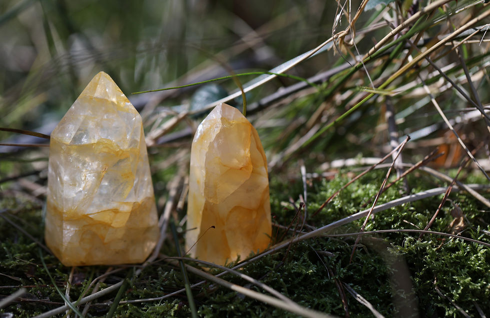 citrine grass_edited.jpg
