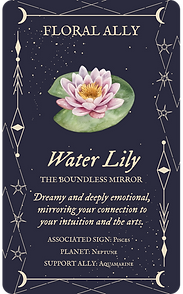 water lily.png