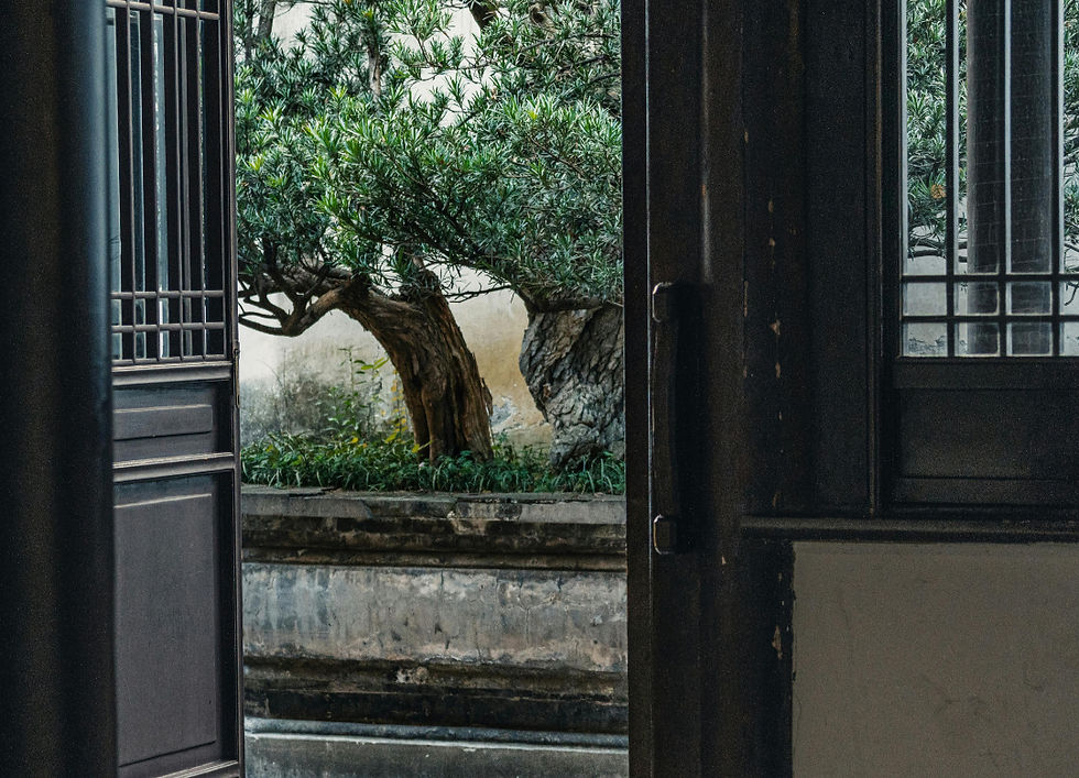 doorway looking out a tree threshold ritual