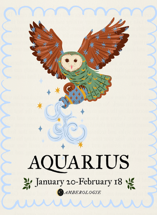 Aquarius Zodiac Sign Water Bearer