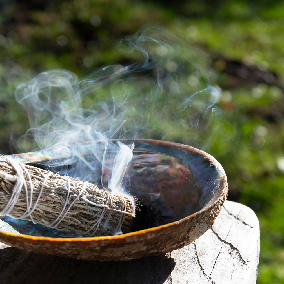 Rituals for the 12 Houses. Sage bundle smoking in an abalone shell on a wooden surface, amidst a blurred green outdoor setting, creating a calm, serene mood.