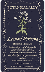 lemon verbena.png