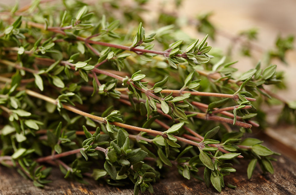 thyme