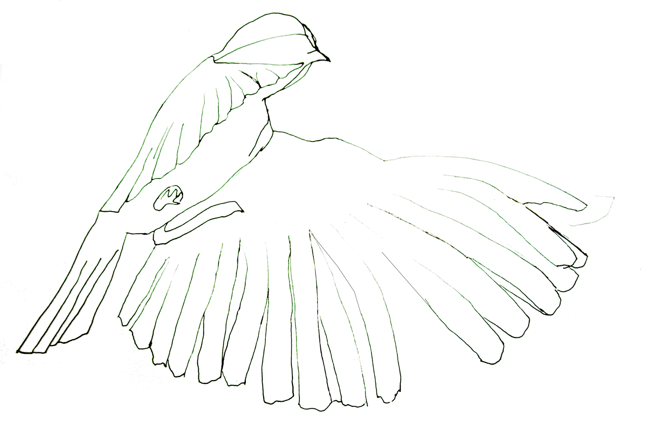 moineau.gif