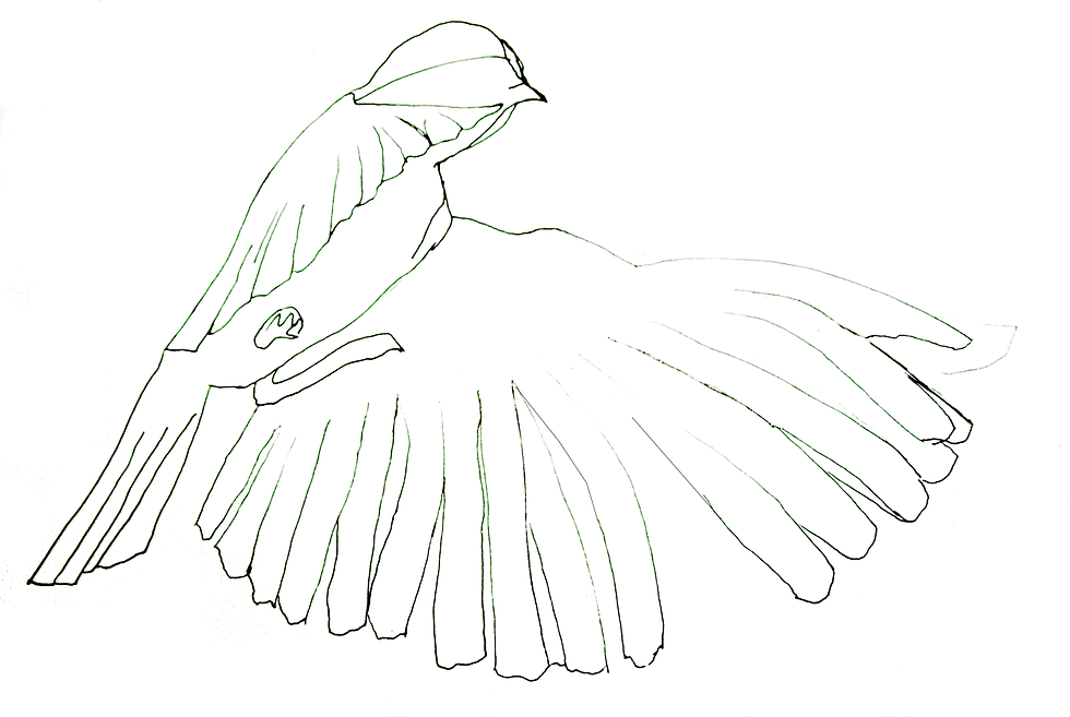 moineau.gif