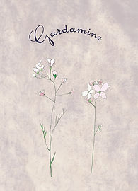 Gardamine.jpg