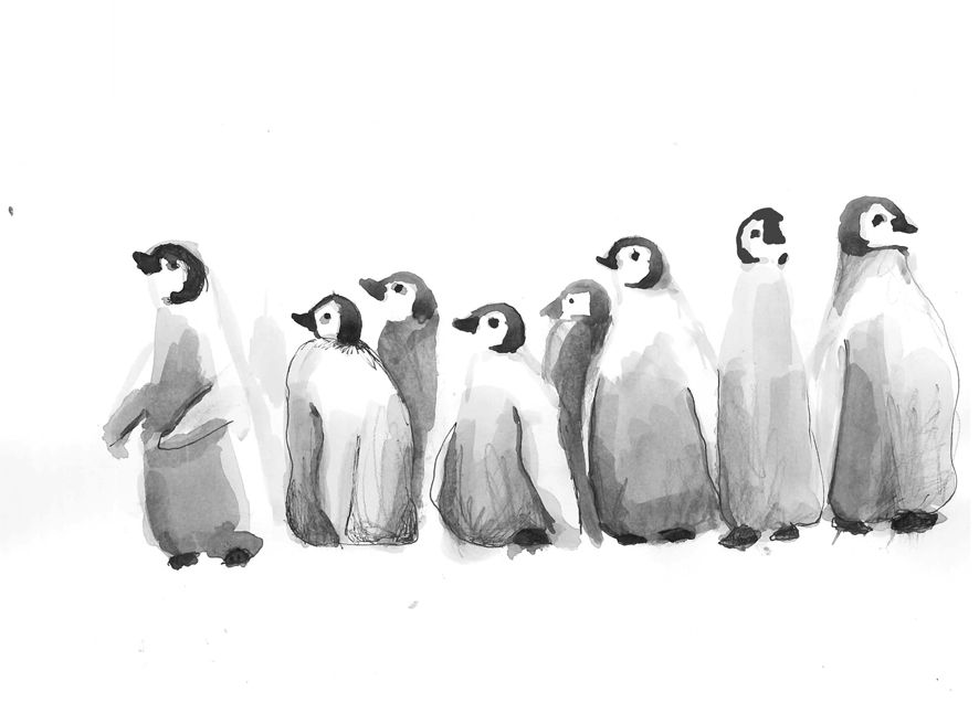 Pingouins