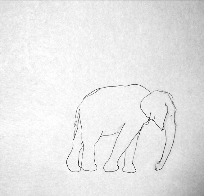 Elephant.png