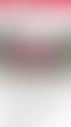 Total Tennis Tiebreak Tens 2020