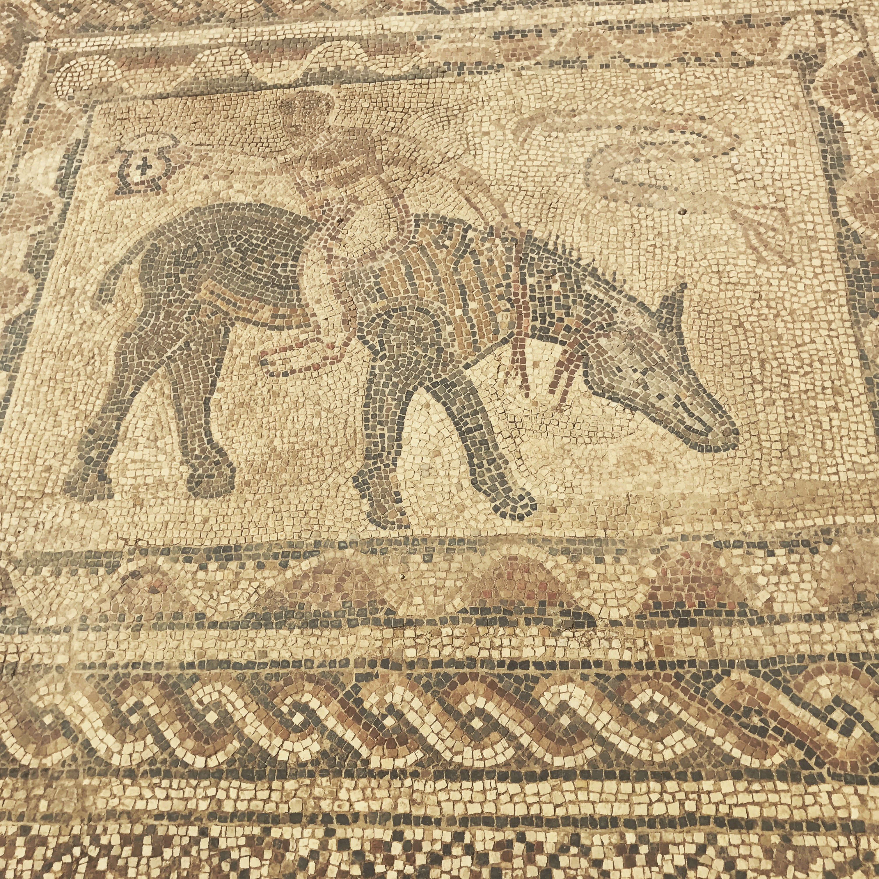 Mosaic