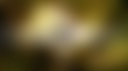 Is Your InBox a Black Hole?