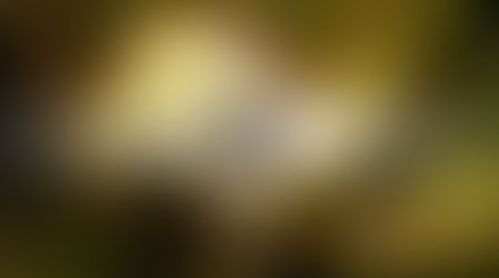 Is Your InBox a Black Hole?