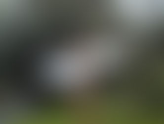 3 Simple Questions to Ask Yourself About Any Opportunity