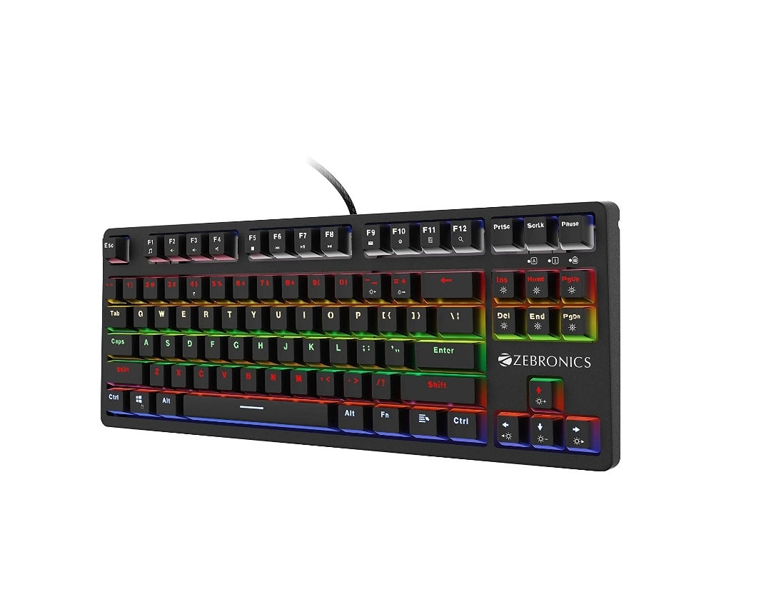 Zebronics Zeb-MAX V2 Premium Mechanical TKL (Tenkeyless) Keyboard