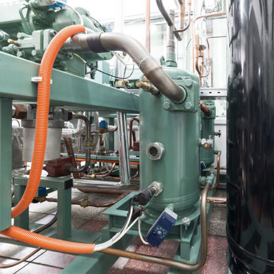 plant-room.jpeg